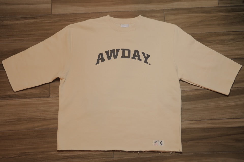 AWDAY OFFICIAL CROPPED CREWNECK sweatshirt