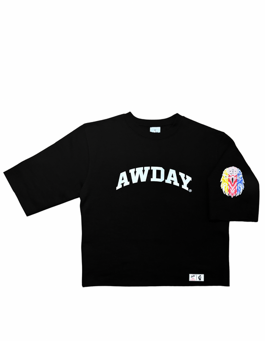 AWDAY®️ Eagle Cropped sweater shirt