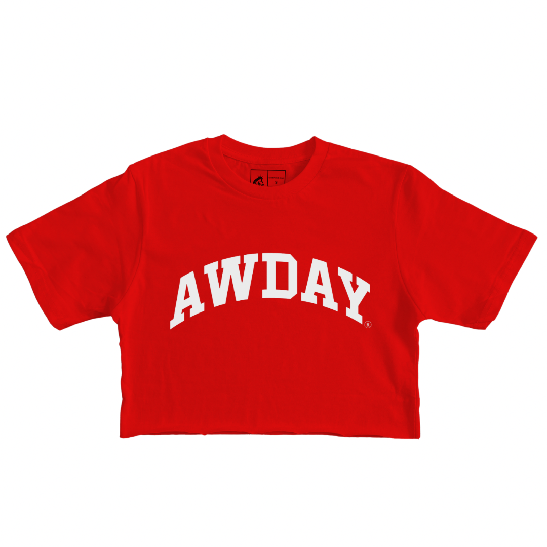 College Curved AWDAY crop top