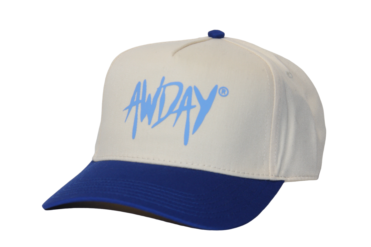 AwDayยฎ ๐๐ก๐ ๐๐ฅ๐ฎ๐๐ฌ Snapback